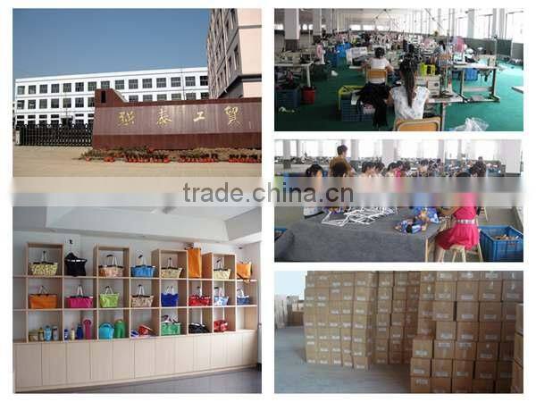 2016 fashion mini shopping cart/trolley