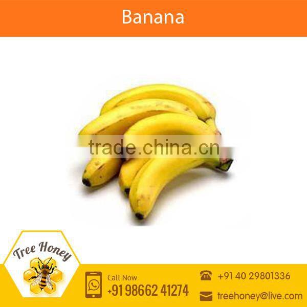 Fresh Yellow Banana for Sale