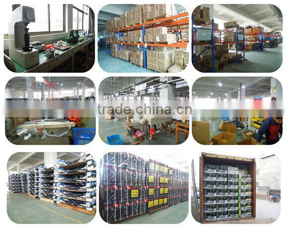Professional Manufactory Double-side blades hedge trimmer 22.5cc with CE