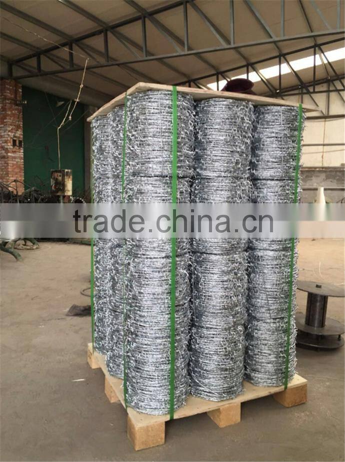 made in China galvanized & SS barbed wire fence on sale