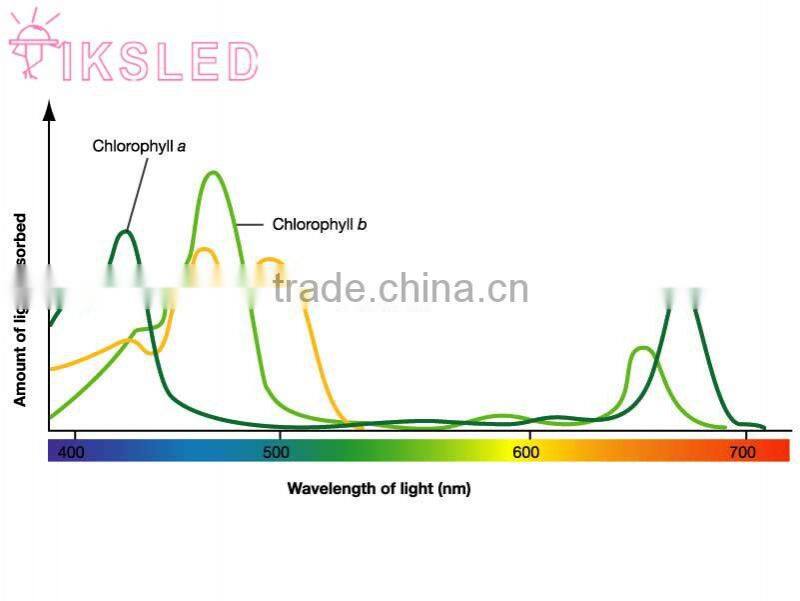 Korea led plant grow light strip lighting Red:Blue 3:1 4:1 5:1 6:1 7:1 8:1 9:1 LED Grow