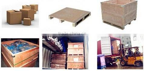 304 316 Stainless Steel Elbow