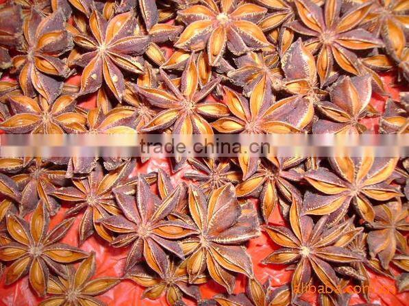 Aniseed for decorative of Christmas dinner