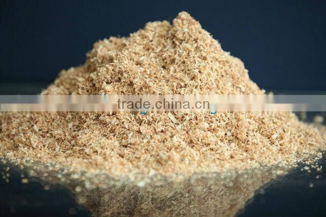 Sawdust for mushroom cultivation