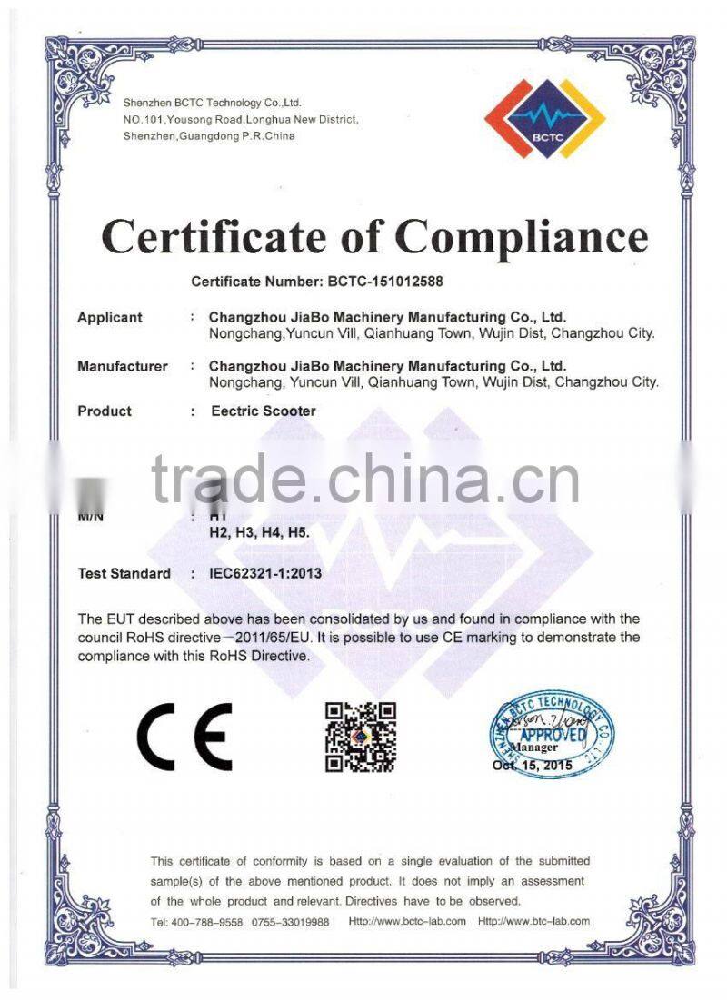 JB-10inch 2 wheel electric self balancing scooter