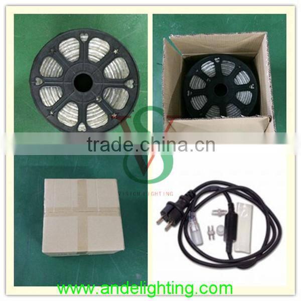 CE RoHS GS Approved 13mm Factory price outdoor Christmas decoration led rope light