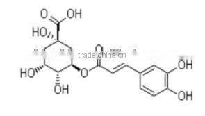 GMP Factory Supply Natural Japanese Honeysuckle Flower Bud Extract