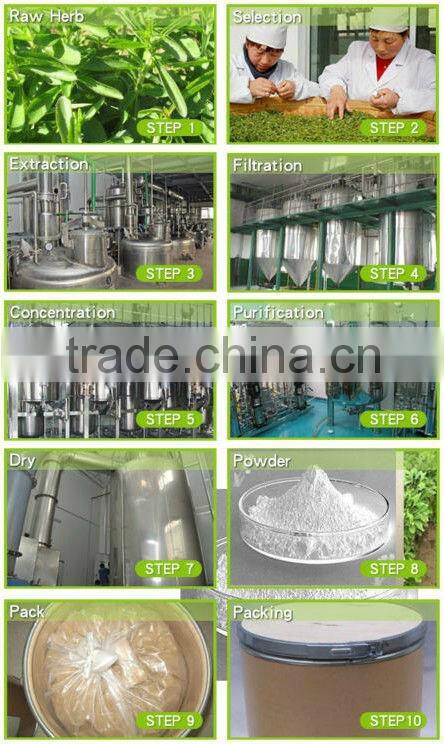 GMP manufacturer supply natural Sweetening Agent Stevia Extract powder Stevioside, Rebaudioside A