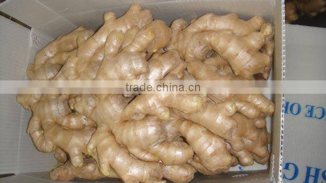 Fresh air dry ginger