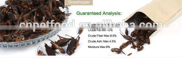 price arowana sturgeon fish farming food frozen crickets