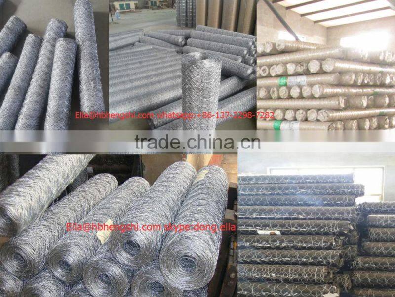 Hot selling galvanized hexagonal wire mesh with low price