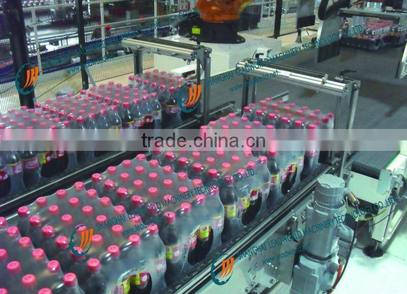 Lifting Chain Conveyor System