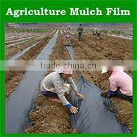 laminated blue/orange pe tarps/plastic poly tarpaulin with reinforced edge and grommets