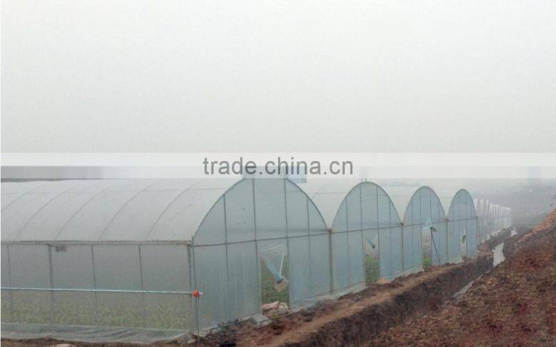 Cheap fruit vegetable flower greenhouse tent for sale