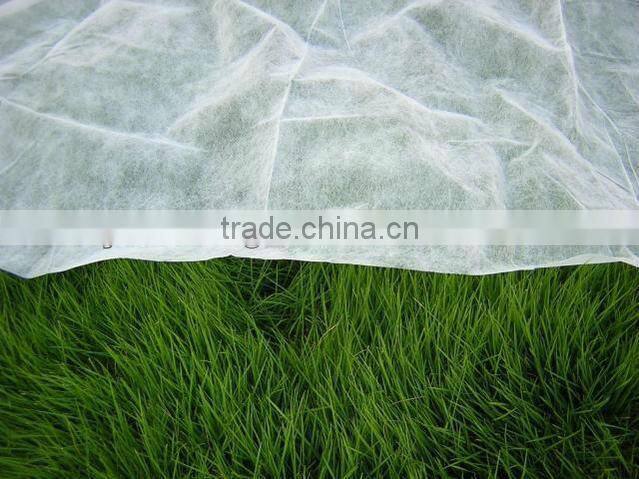 anti-uv 1.1x50m 100% pp ground cover