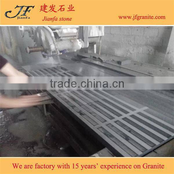 G654 Padang dark granite blind paving stone