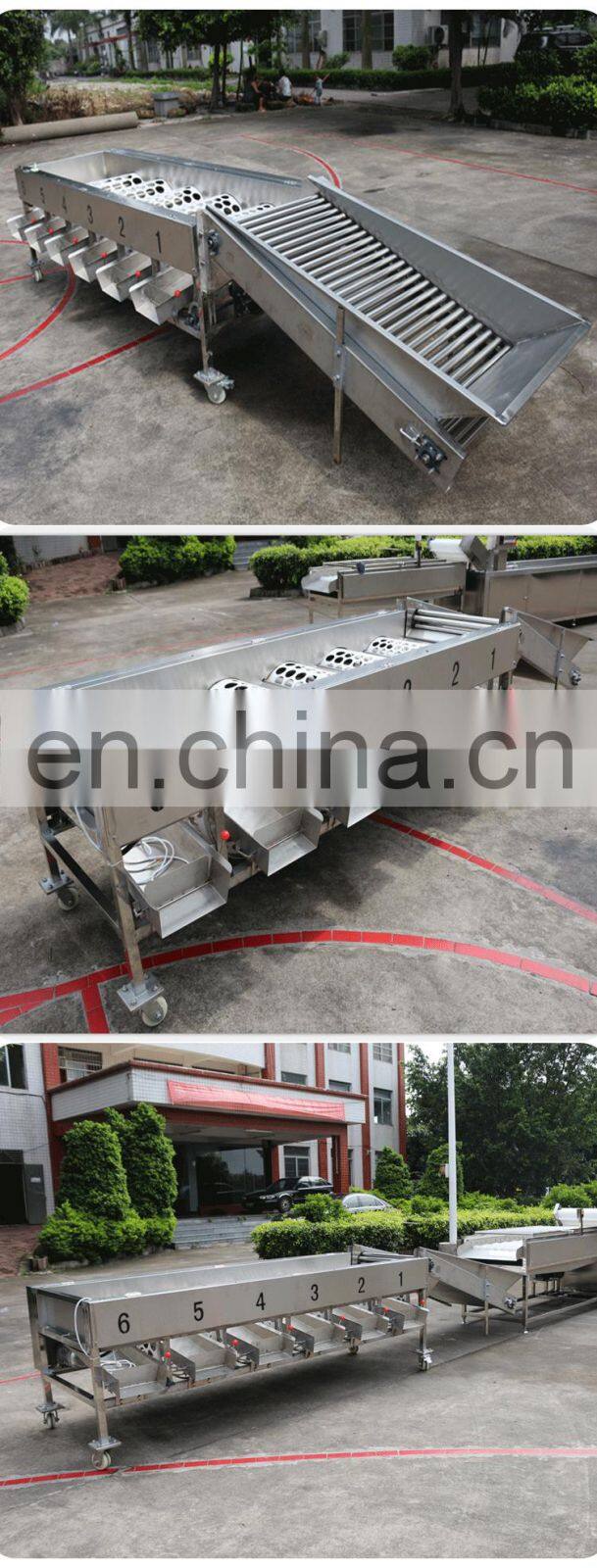 Efficient vegetable and fruit sorting machine/tomato grader /orange sorting machine
