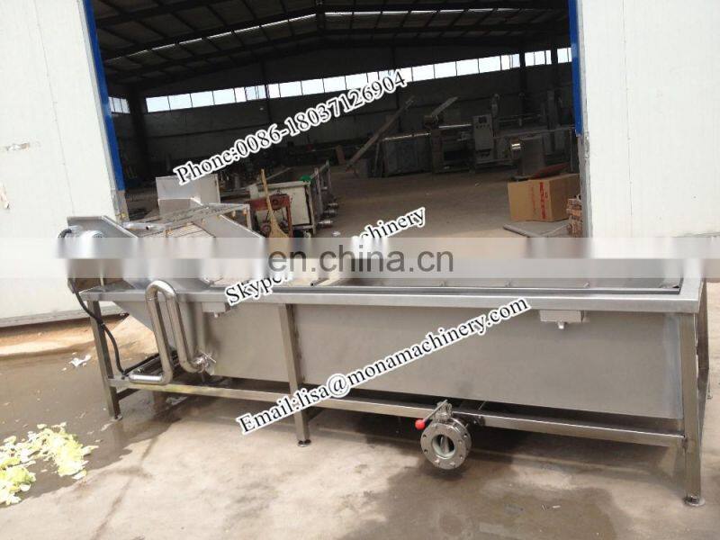 Fruit vegetable washing machine/Leafy Vegetable Cleaning Machine/air bubble vegetable and fruit washing machine