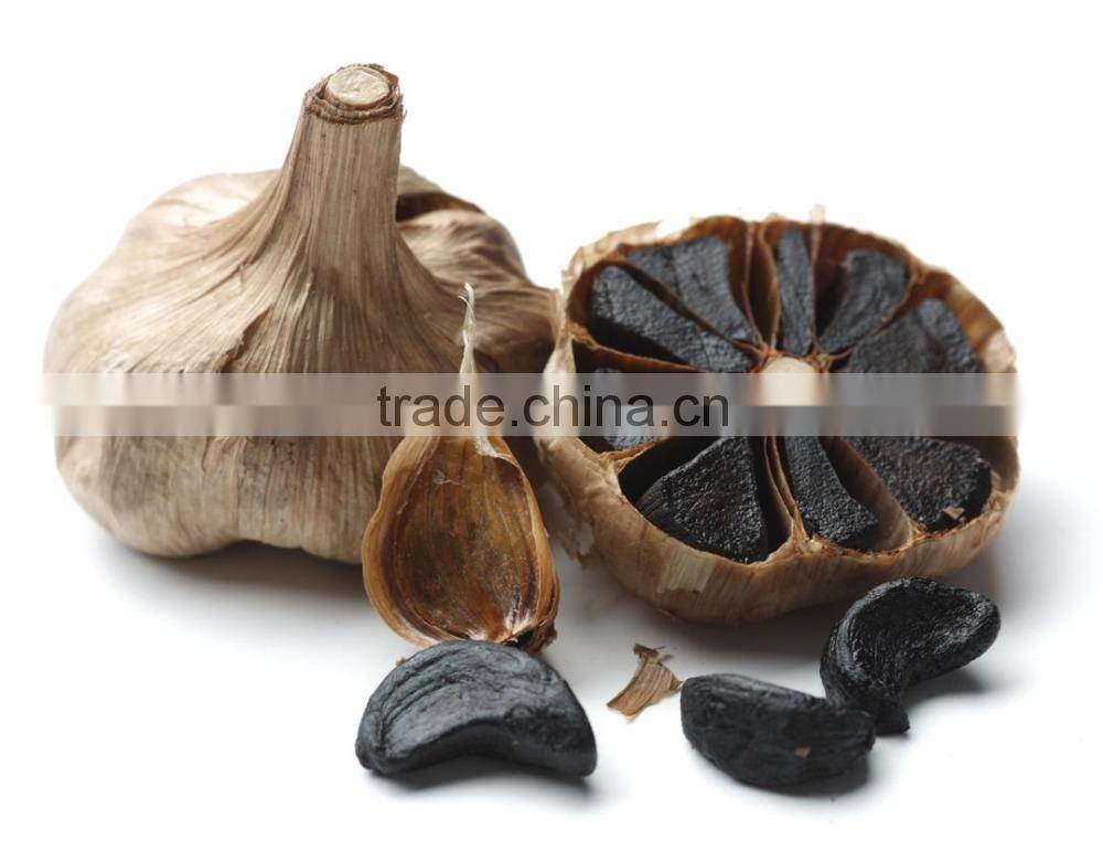 new product black garlic