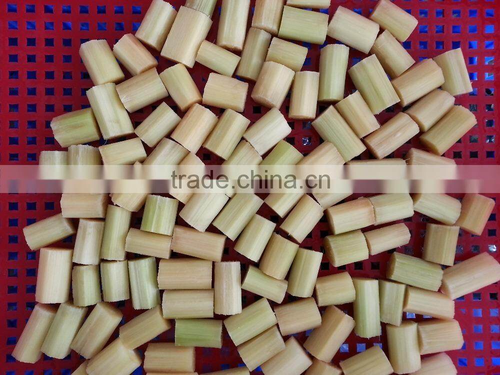 Best Fresh Sweet Sugar Cane from Vietnam