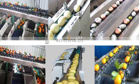 Fruit and vegetable Cleaning, Waxing, Drying and Grading Production Line