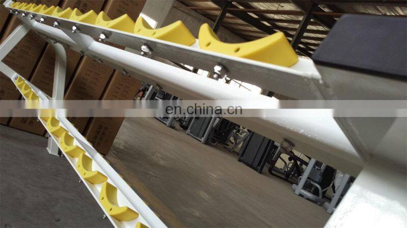 Commercial gym fitness equipment ASJ-DS025 Dumbbell Rack gymequipment