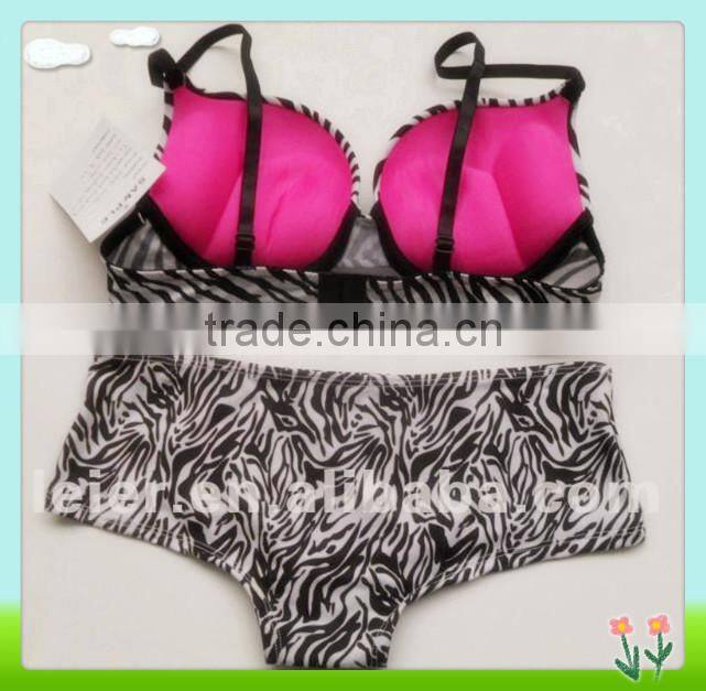 Sexy Zebra Bra/Brief Set