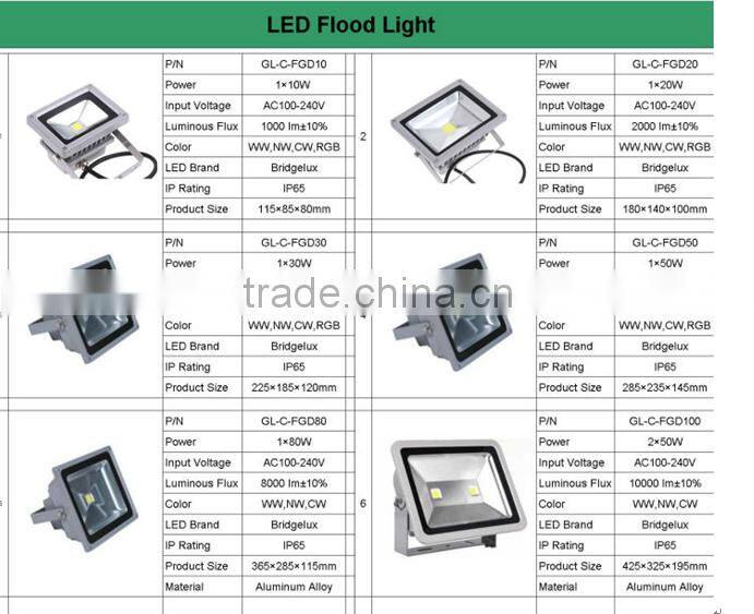 30w led floodight CE ROHS CRI>80 PF>0.9 90lm/w 10w 20w 50w 100w 80w aluminum rechargable portable