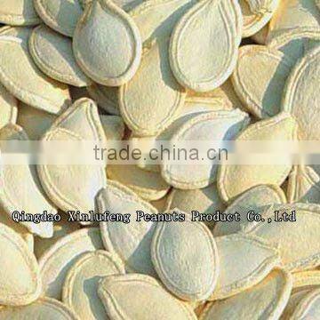 Pumpkin seeds in shell