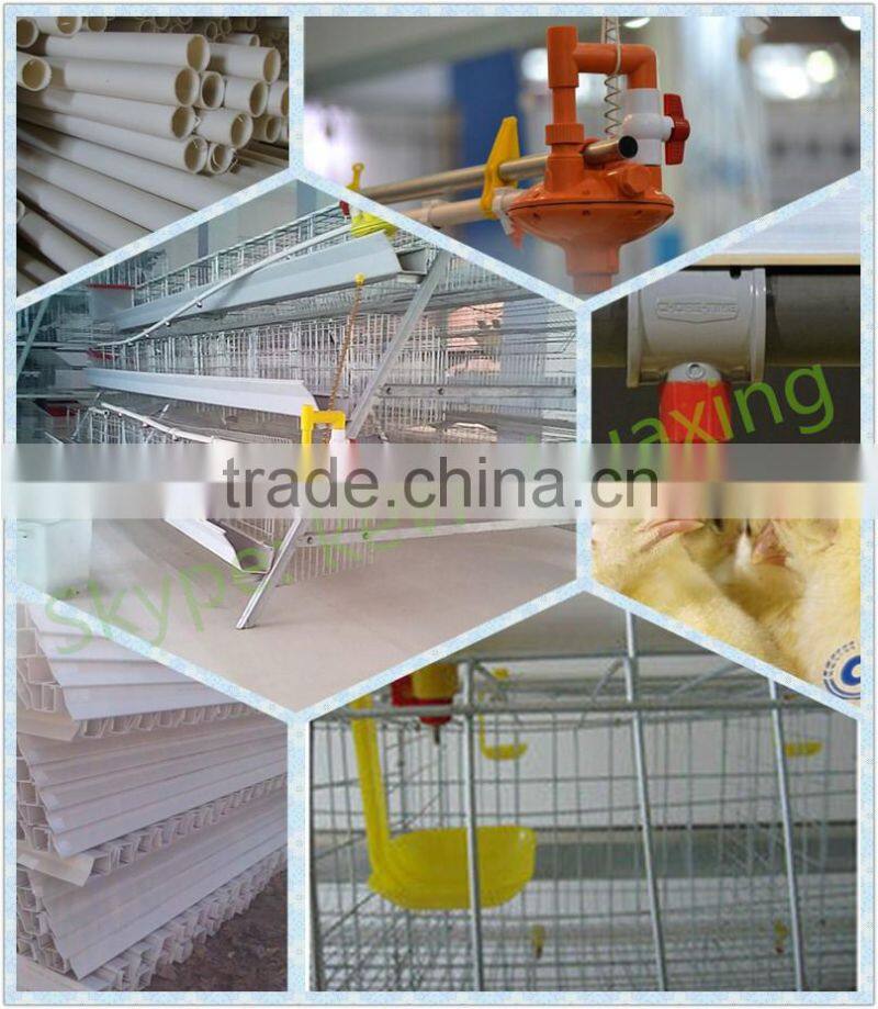 broiler battery cages with automatic system