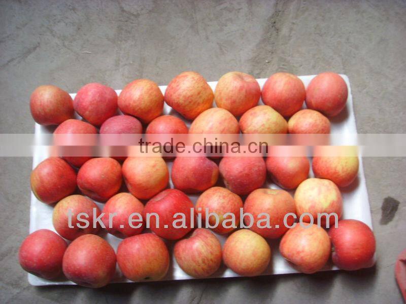 fruits and vegetables apple fuji