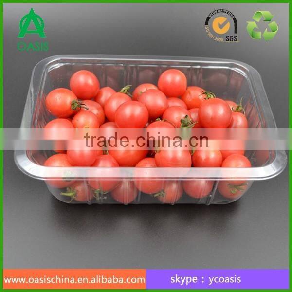 Transparent PS PP PET disposable plastic vegetable tray tomato tray