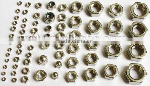 Hex Nuts Fastener Made in China 8.8