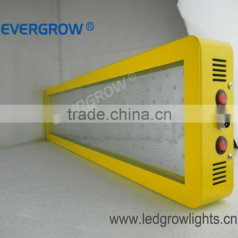 Hot!! EverGrow 400W latest linkable led plant grow light EG-200*3W-LG3-SXB