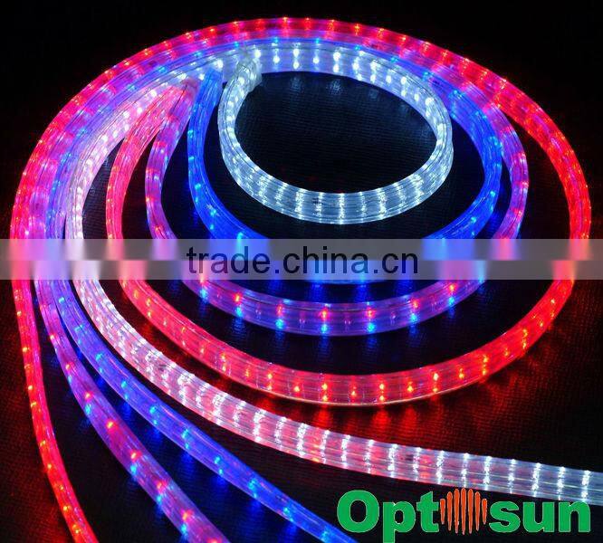 CE RoHS decoration Wateproof DC12V 24V AC120V 220V remote control led led rope light manufactures in china