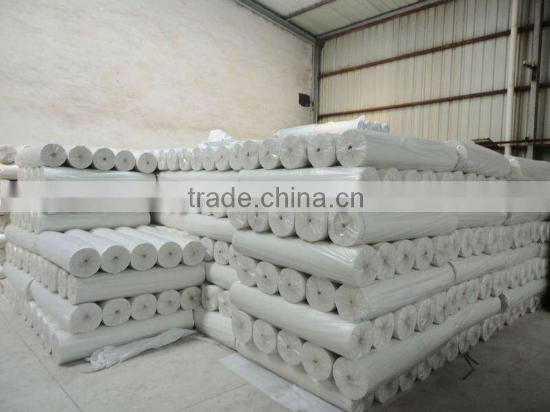 Nonwoven cloth (nonwoven interlining , polyester nonwoven)