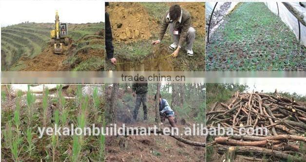 New Top Selling Used Badminton Basketball Court Parquet Oak Solid Hard Wood Flooring Price For Sale