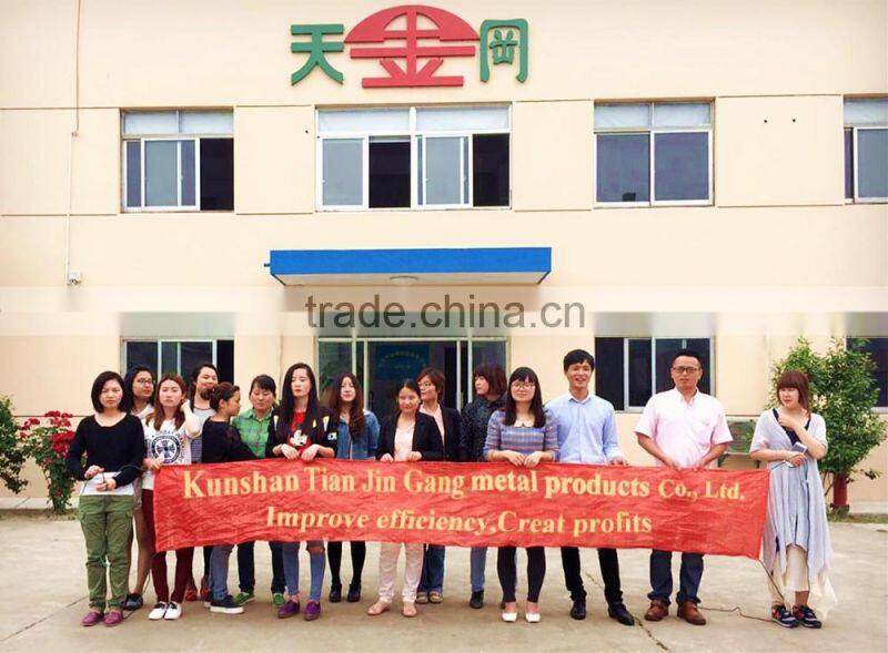 TianJinGang Factory Price Shaw Walker Fireproof File Cabinet With 2 Doors And 4 Shelves