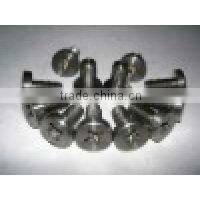 Gr1 Titanium fasteners