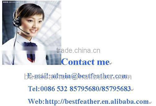 100% short soft velvet printing cushion