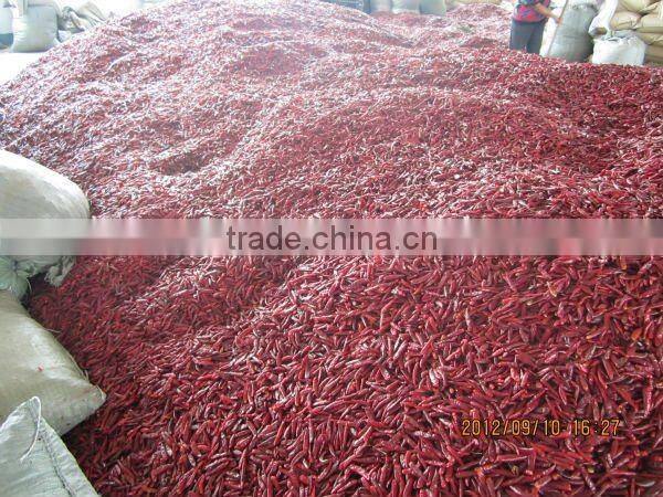 American Red Chili whole