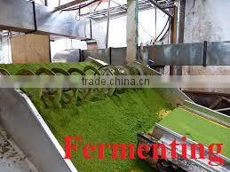 High Quality from Teaparis Vietnam Green Tea Super Pekoe