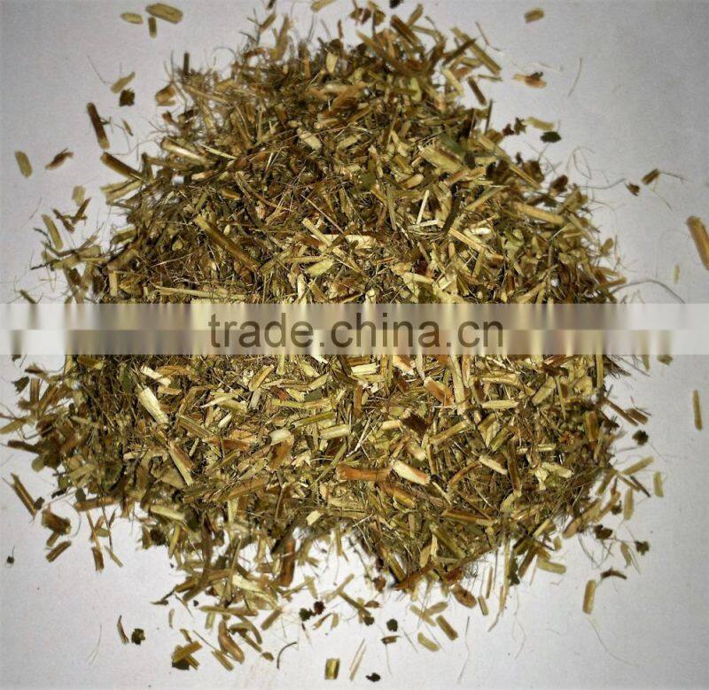Organic Ocimum tenuiflorum Powder