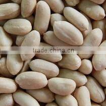 Raw Peanuts Inshell New Crop
