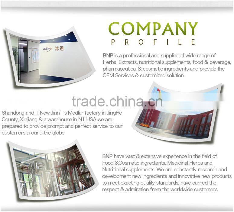 BNP Natural TOP Quality Reishi Spore Powder