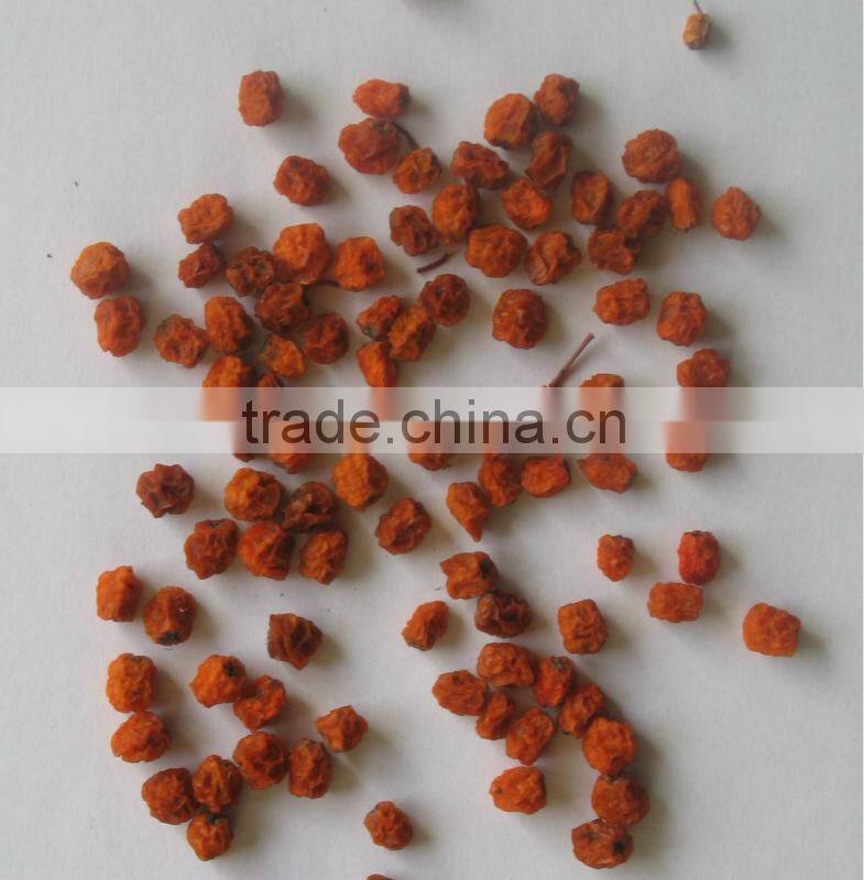 China wild dried mountain ash/rowan (Sorbus pohuashanensis)