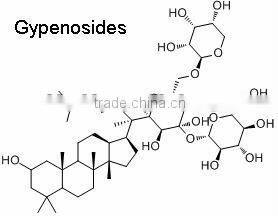 Herbal Medicine Gynostemma Pentaphyllum Extract