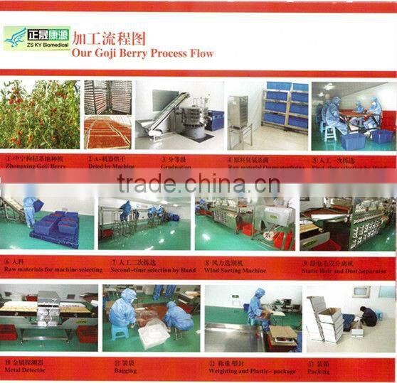 Nutrious Ningxia Wolfberry on Sale