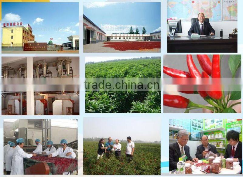 Spices Powder Seasoning Chinese Chilli Powder Sweet Paprika Powder Red Pepper Powder