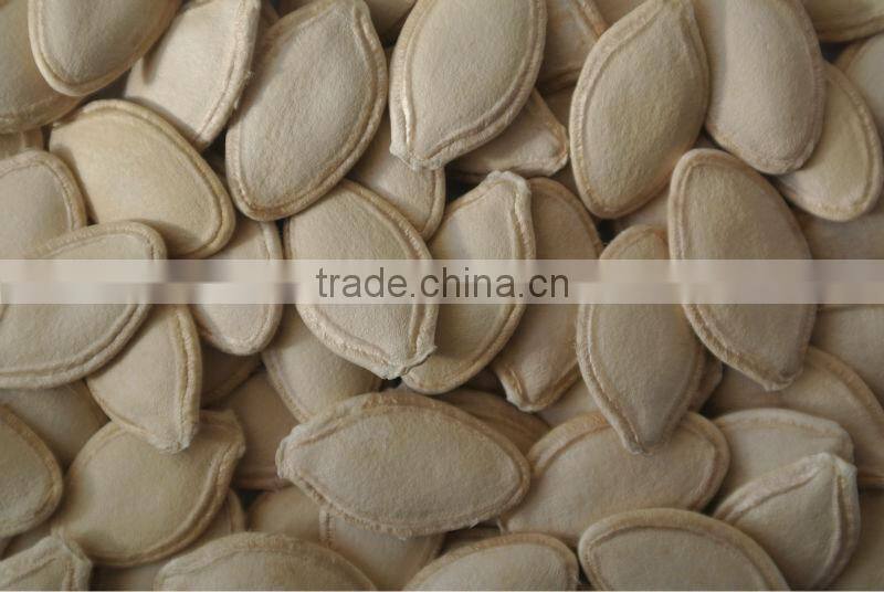 organic pumpkin seeds in shell